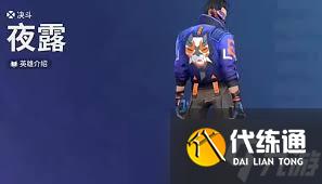 无畏契约手游夜露技能是什么