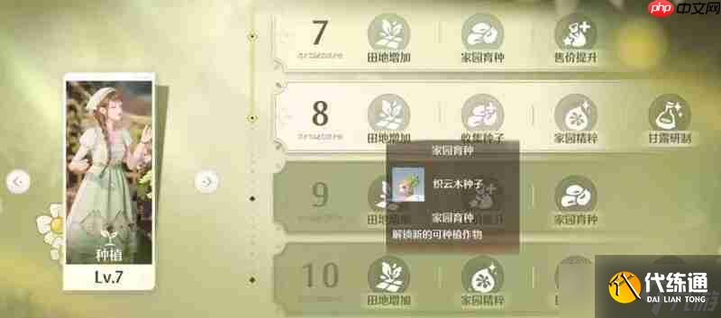 无限暖暖家园升级顺序介绍-无限暖暖家园升级顺序怎么规划