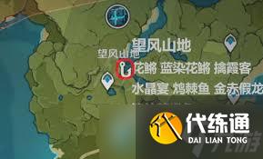 原神金赤假龍用啥魚餌