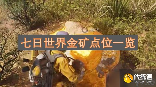 七日世界金矿点位一览