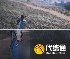 燕云十六聲中碧水云濤貓咪的位置在哪