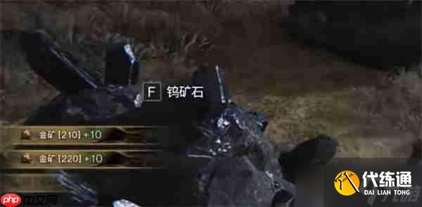 七日世界金矿点位大全