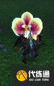 魔兽世界鞭笞者的种子任务攻略