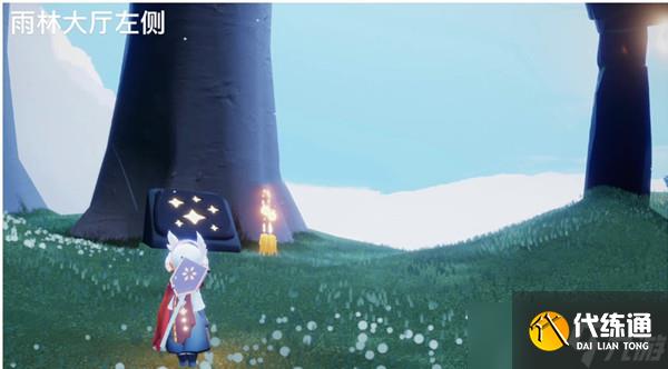 光遇纪念季雨林季蜡位置攻略