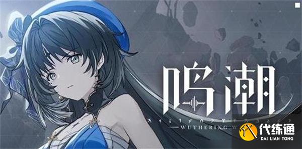 鸣潮共鸣技能和共鸣解放是什么