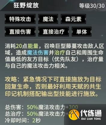 星痕共鸣辅助阵容怎么搭配