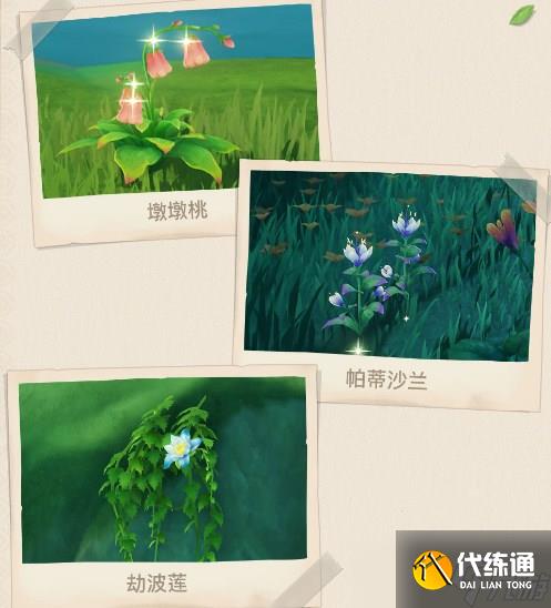 原神30须弥有哪些新敌人